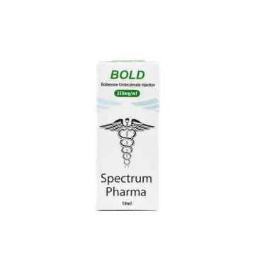 Bold - 10 ML 250 MG/ML