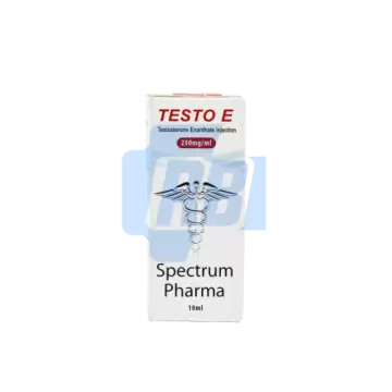 TESTO E - 10ML VIAL (250 MG/ML)