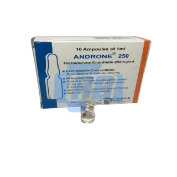 Androne 250 (PharmaGrade Testo Enanthate) - 10 X 1ML AMPOULES (250MG/1ML)