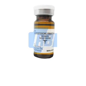 Testosterone Enanthate - 10 ML VIAL (300 MG/ML)